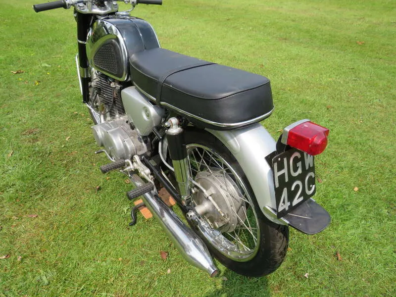 31