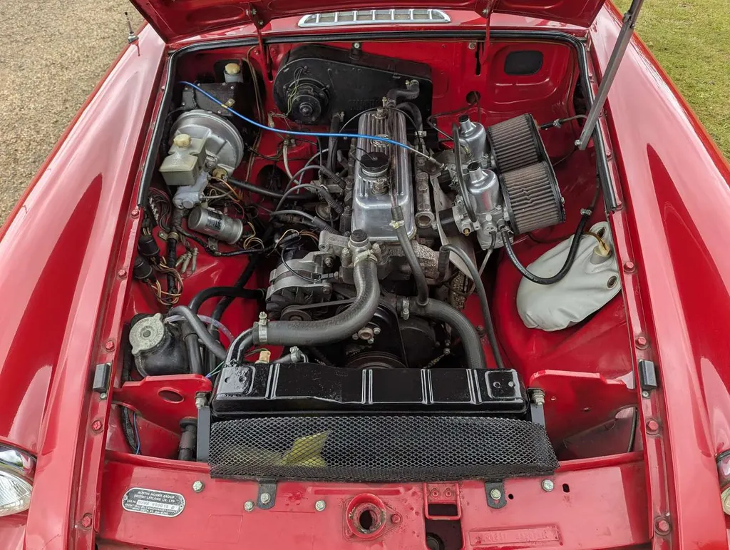 29