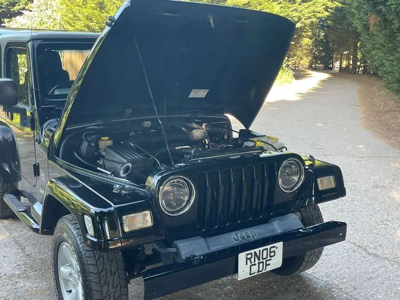 80