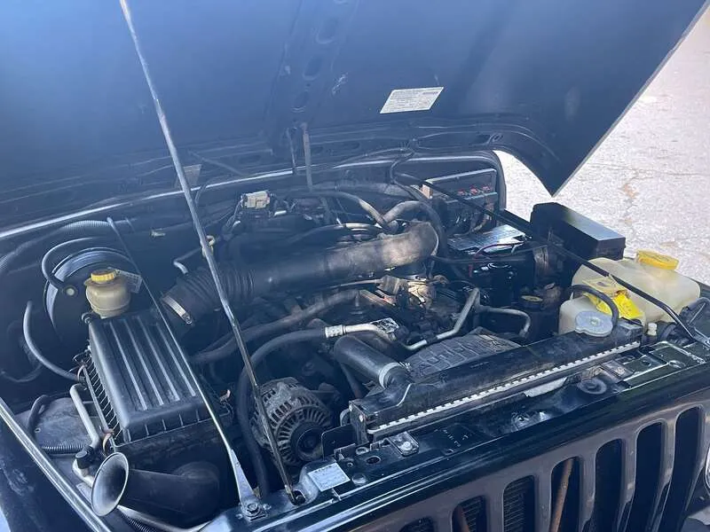 81