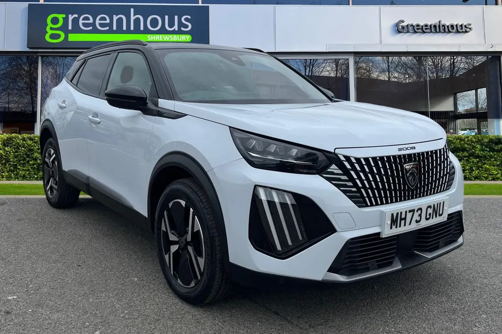 Peugeot 2008 Image 1