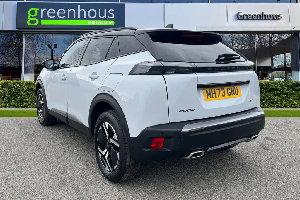 Peugeot 2008 Image 3