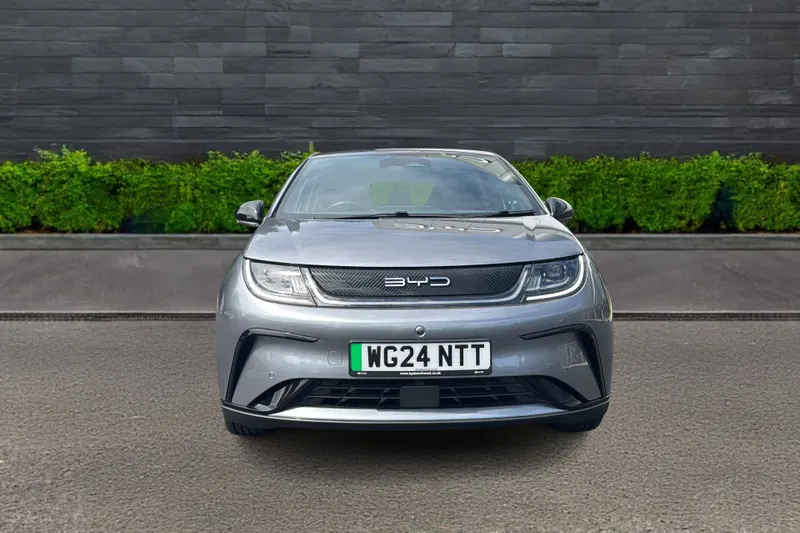 Byd Dolphin Image 2