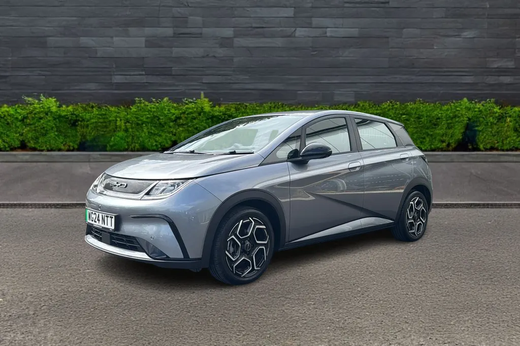 Byd Dolphin Image 3